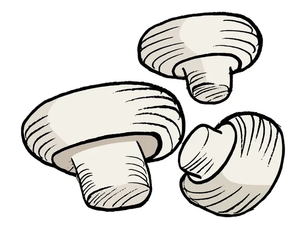 Champignon — Vettoriale Stock