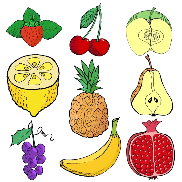 Illustration of fruits — Stock Vector
