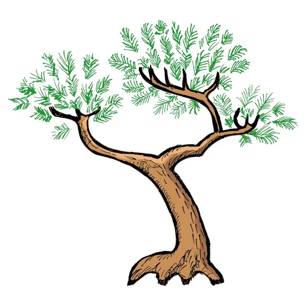 Ilustrace borovice — Stockový vektor