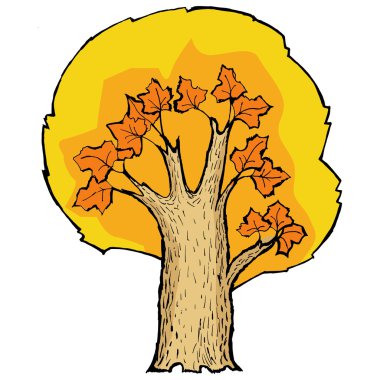 akçaağaç karikatür çizimi