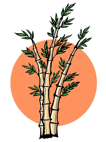 Bamboo — Stock Vector