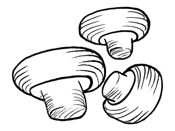 Champignon — Vettoriale Stock