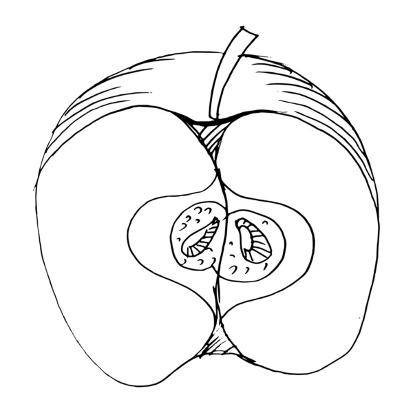 Corte de manzana — Archivo Imágenes Vectoriales