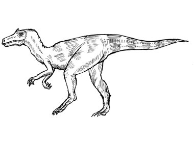 Allosaurus