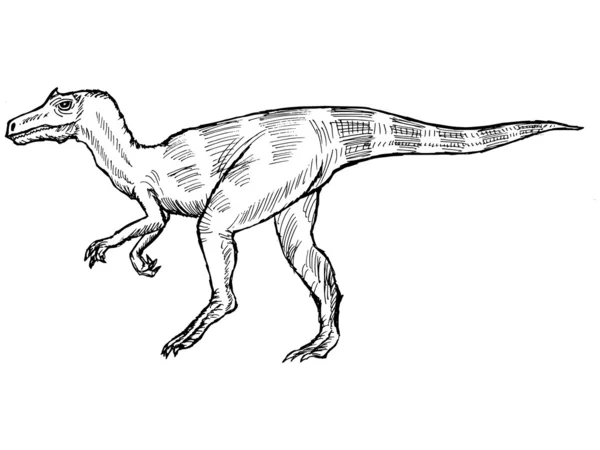 Аллозавр — стоковый вектор