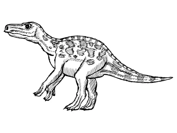 Iguanodon — Stockový vektor