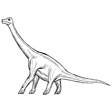 Brachiosaurus