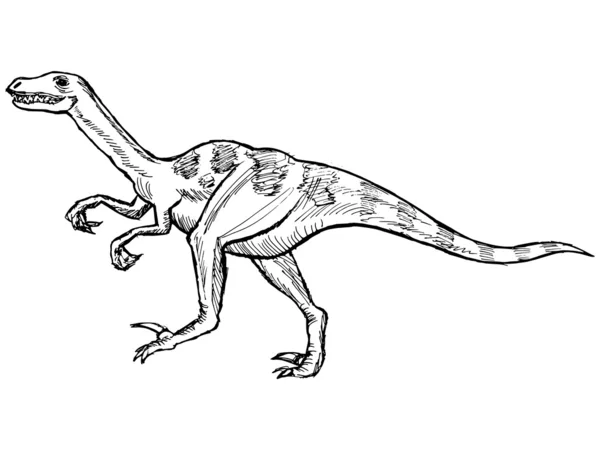 Vélociraptor — Image vectorielle