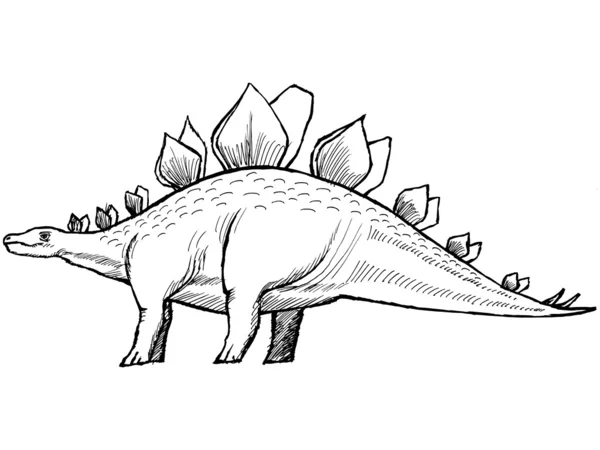 Stegosaurus — Stok Vektör