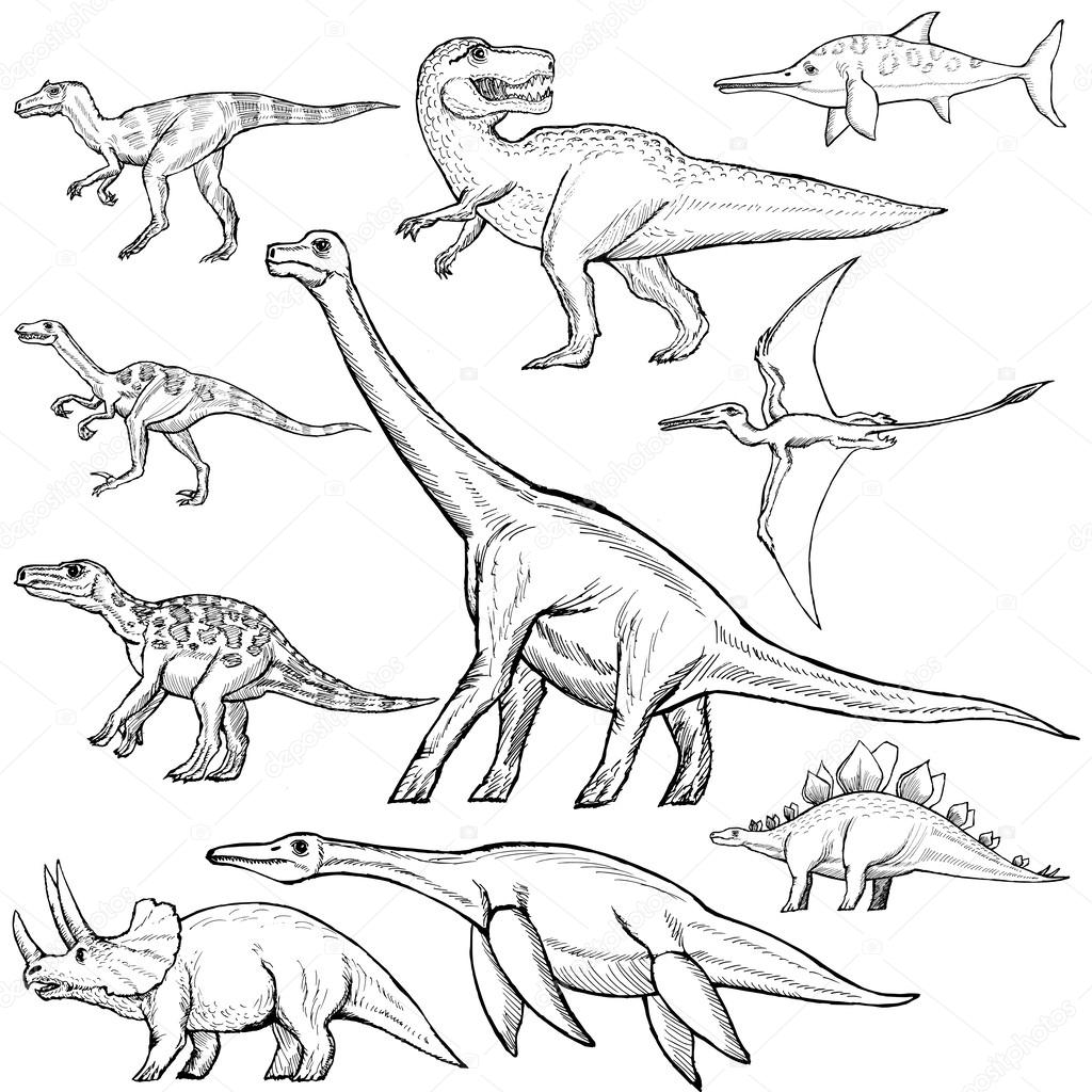 set of different dinosaurs