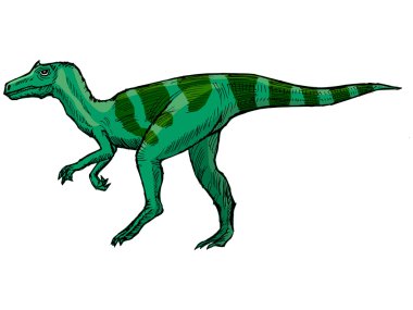 Allosaurus