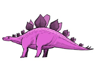 Stegosaurus
