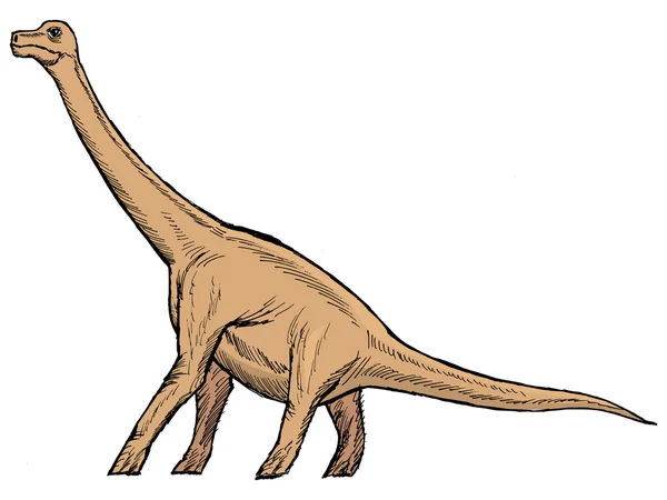 Brachiosaurio — Archivo Imágenes Vectoriales