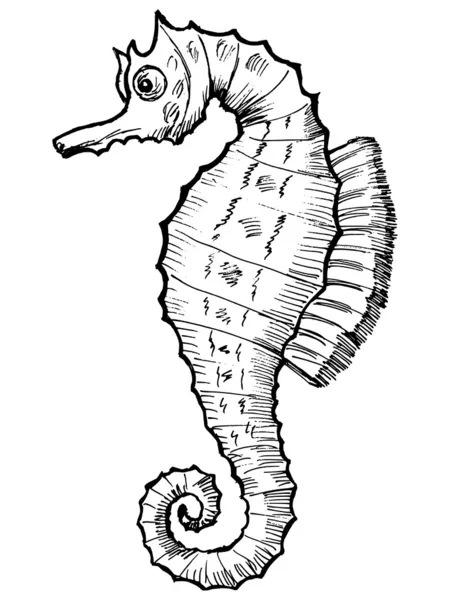 Морський коник — стоковий вектор