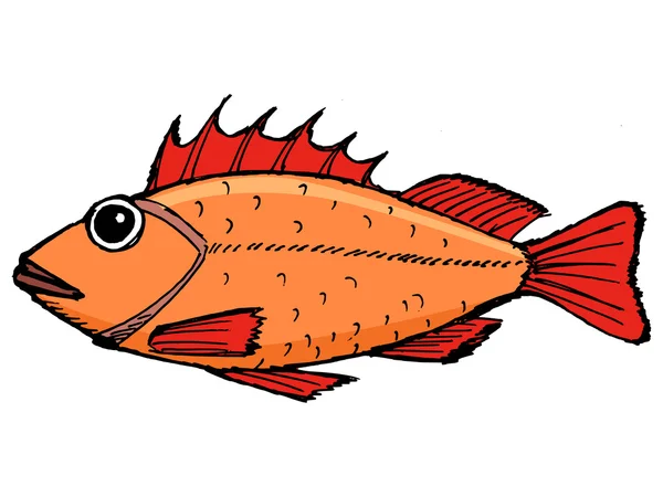 Rock fish — Stockvector