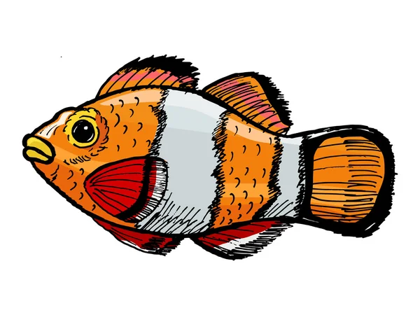 Ψάρια κλόουν — Διανυσματικό Αρχείο