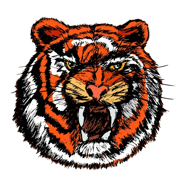 Tigre — Vector de stock