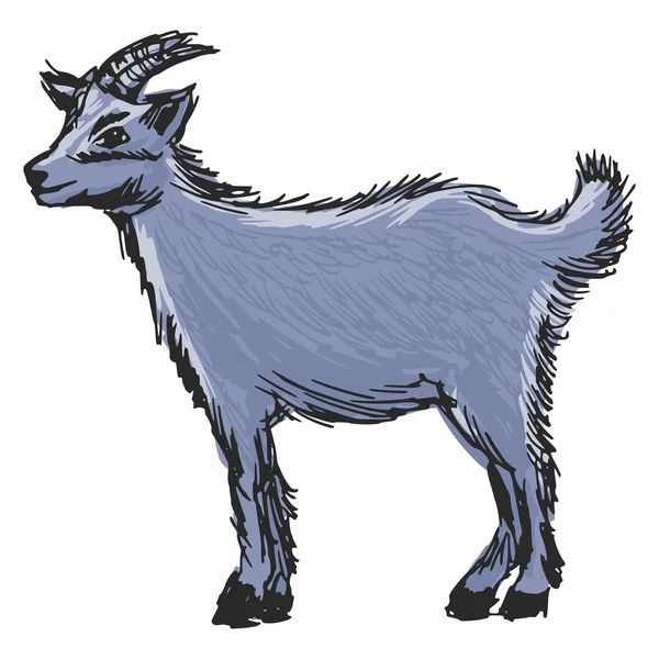 Little goat — Stock Vector