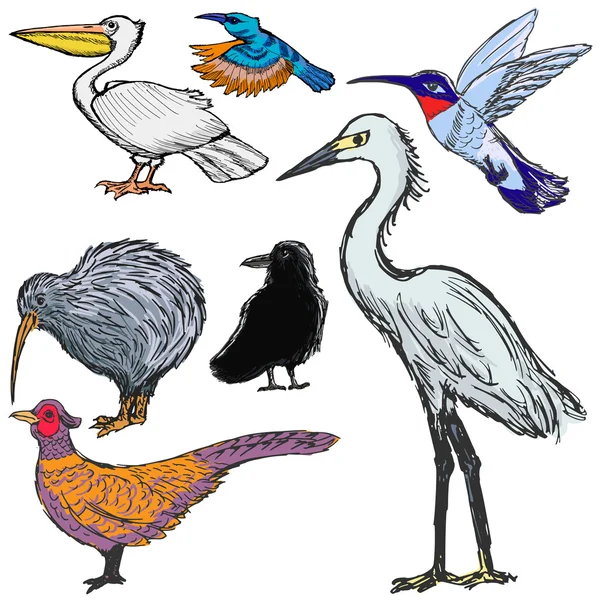 Set di uccelli — Vettoriale Stock