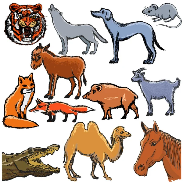 Ensemble d'animaux différents — Image vectorielle