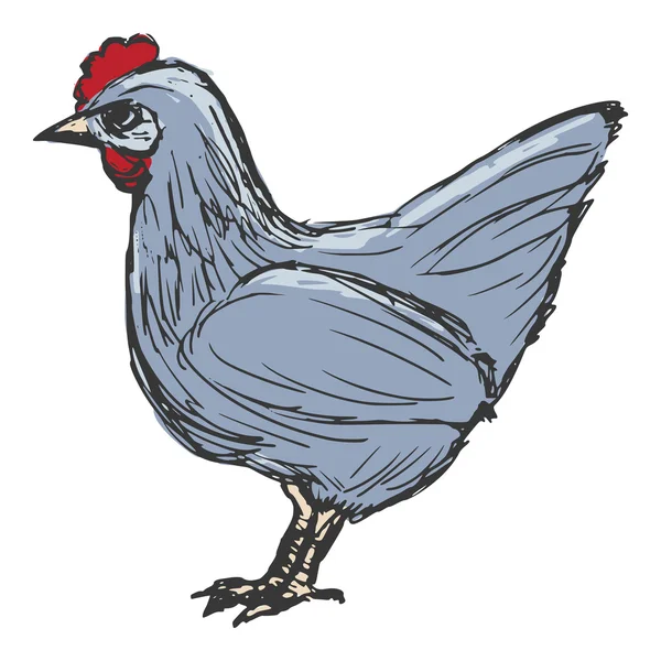 Kura, gospodarstwa ptak — Wektor stockowy