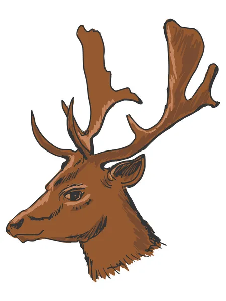 Head of deer — Stock Vector