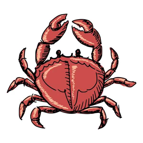 Crabe — Image vectorielle