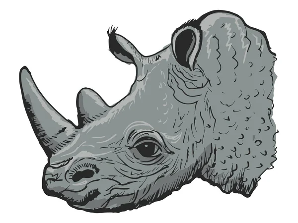 Neushoorn — Stockvector