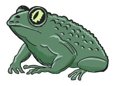 toad clipart