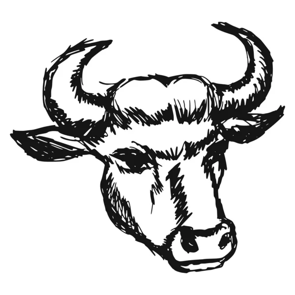 Cabeza de vaca — Archivo Imágenes Vectoriales