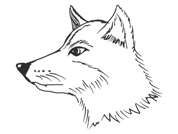 Tête de loup — Image vectorielle