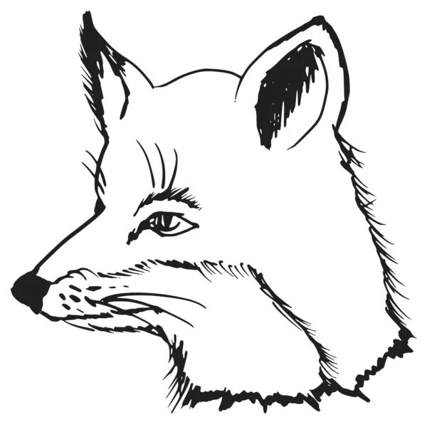 Hoofd van fox — Stockvector