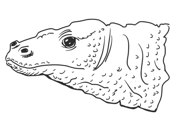 Dragón de Komodo — Archivo Imágenes Vectoriales