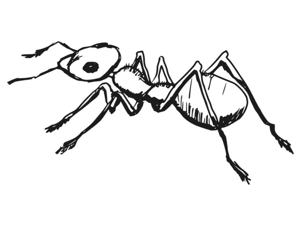 Hormiga roja — Vector de stock