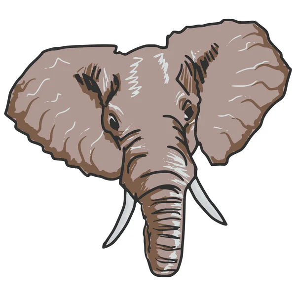 Elefant — Gratis stockfoto