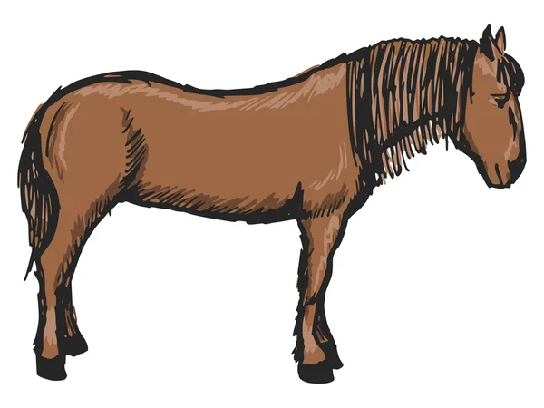 Cavallo — Vettoriale Stock