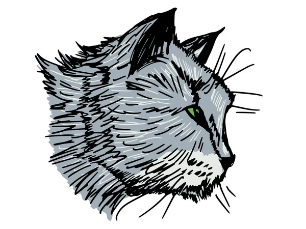 Portret van kat — Stockvector