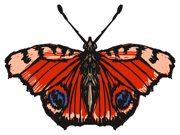 Farfalla di pavone — Vettoriale Stock