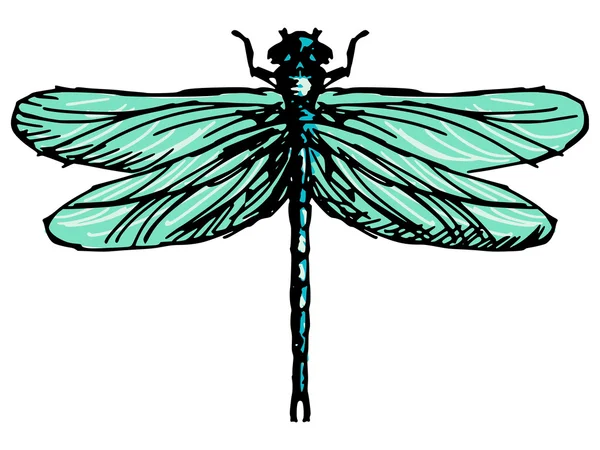 Dragonfly — Vector de stoc