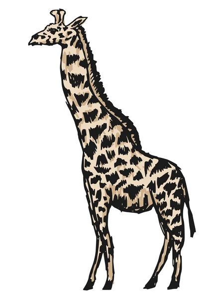 Giraffa — Vettoriale Stock