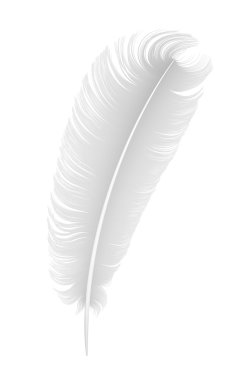 Beyaz arkaplanda tüy