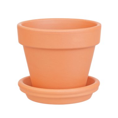 saksıyı beyaz zemin üzerine