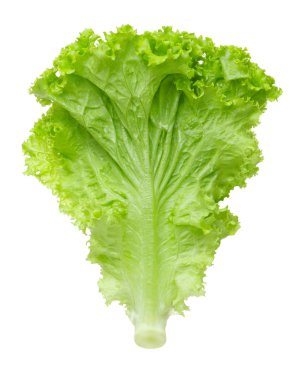 beyaz zemin üzerine marul salatası