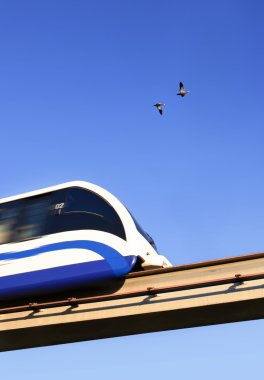 Uçan kuşlar tren gelse