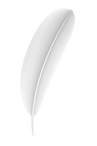 Feather of a bird on a white background — Stock Photo, Image