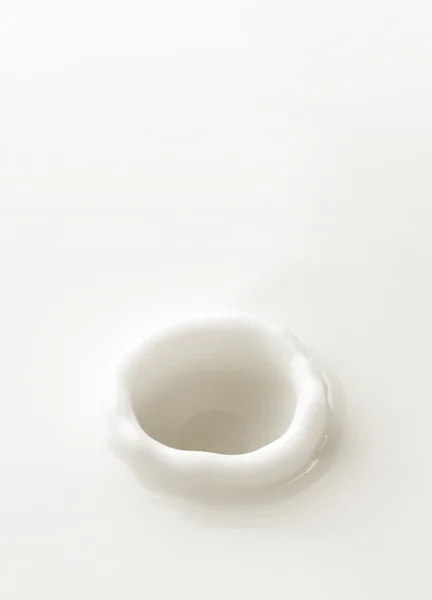 우유입니다. 베리 또는 조각 o의 우유에 떨어지는 대 한 서식 파일 — 스톡 사진