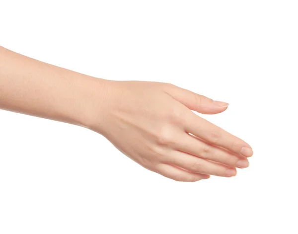 Vazio mão mulher aberta no fundo branco — Fotografia de Stock