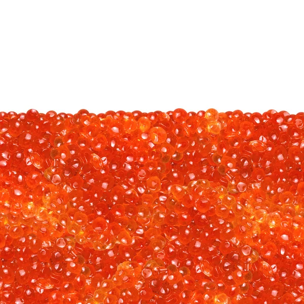 Vermelho caviar. Fundo abstrato com uma área em branco para texto — Fotografia de Stock