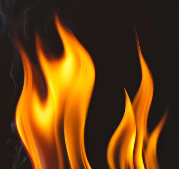 Fire flames. Bonfire on a dark background — Stock Photo, Image