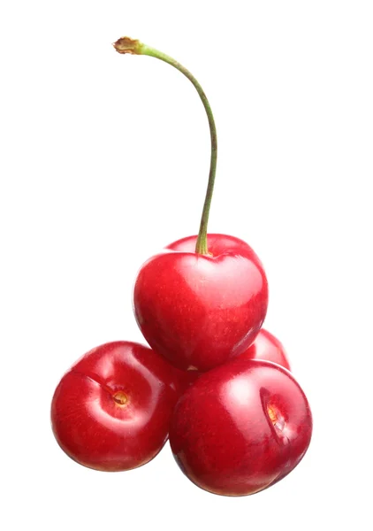 Sweet cherry na białym tle — Zdjęcie stockowe